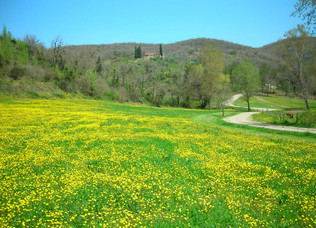 Allegro Agriturismo Argiano Арецо Екстериор снимка
